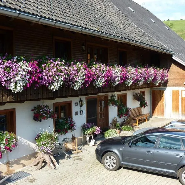 Biobetrieb Lippenhof, hotel i Sankt Märgen