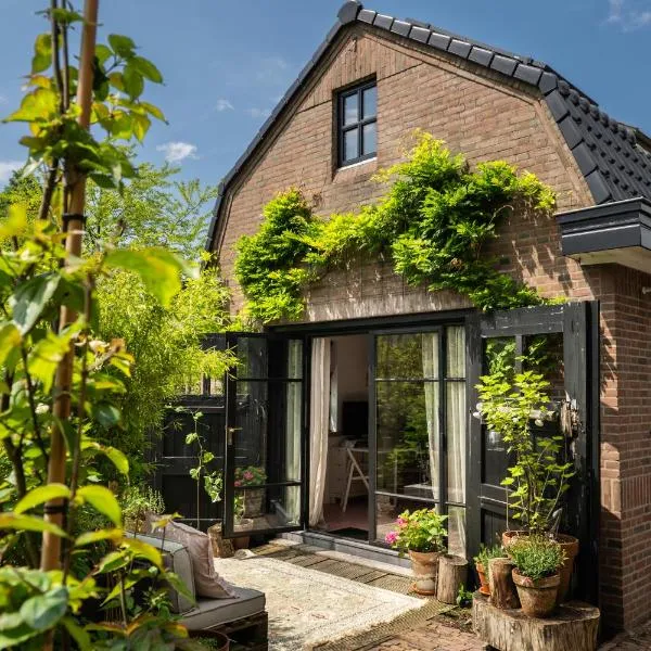 Guesthouse Rotterdam, tinyhouse nearby Kralingen, hotel Rotterdamban