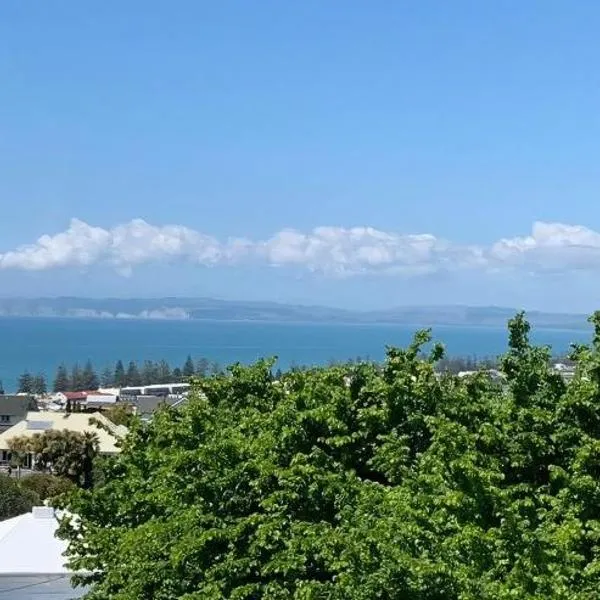 Seaview on Sealy Apartment, hotel di Napier