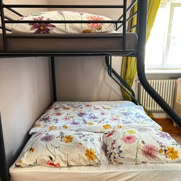 Mannheim Innenstadt Hostel Zimmer 2 - Hostel Liudao, מלון בהיידלברג