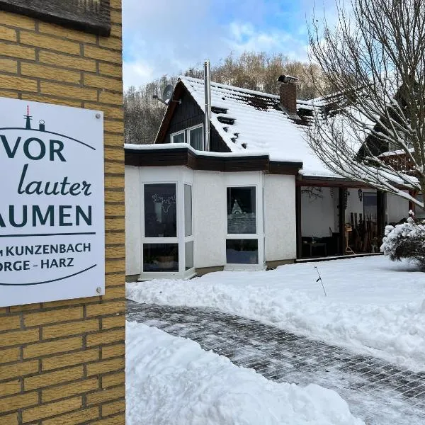 Vor lauter Bäumen B&B, hotel din Zorge