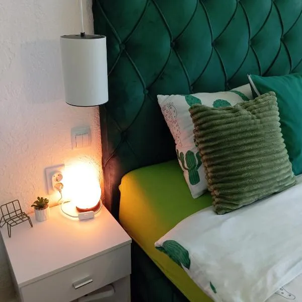 Green Cactus Rooms - unique and cozy house, hotel en Senta