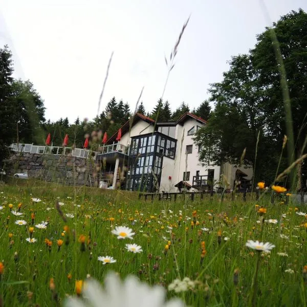 Gastinger Hotel-Restaurant, viešbutis mieste Zūlis