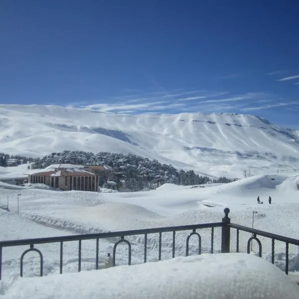 Cedars Palace, viešbutis mieste Al Arzas