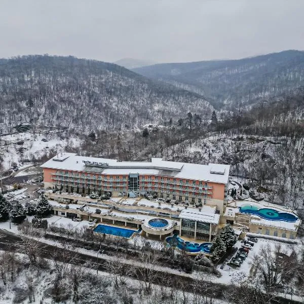 Thermal Hotel Visegrád, hotel en Visegrád