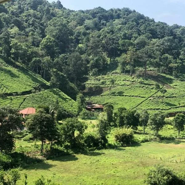 Janiro Tea Trees Villas, hótel í Vythiri