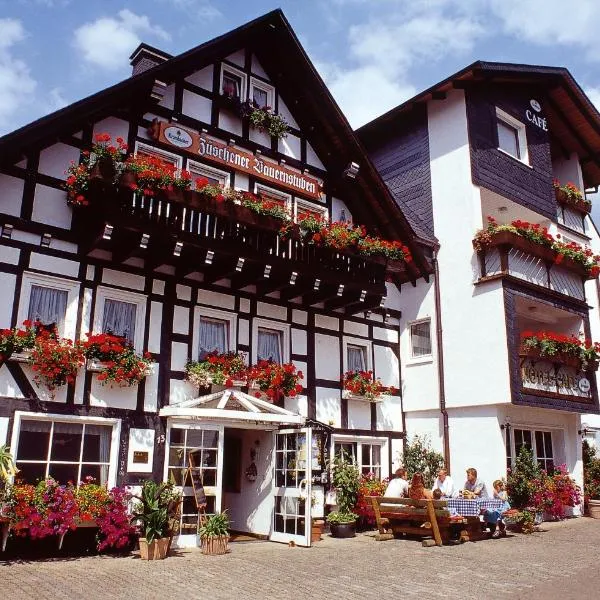 Pension Zueschener Bauernstuben, hotel in Hallenberg