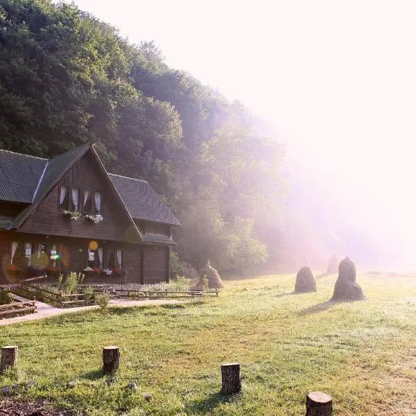 Pensiunea Dacica, hotel sa Boşorod