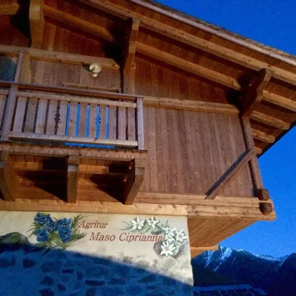 Agritur Maso Ciprianna B&B – hotel w Madonna di Campiglio