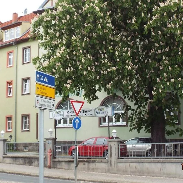 Hotel Pension zur Tanne, hotel di Zwickau