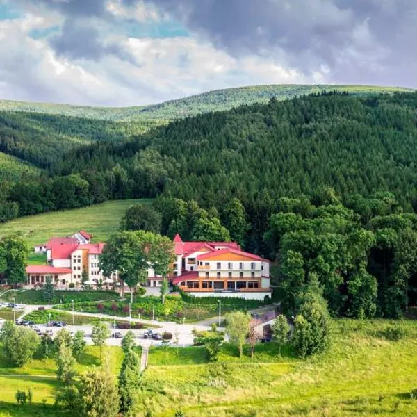 Malinowy Dwór Hotel Medical SPA, hotel a Świeradów-Zdrój