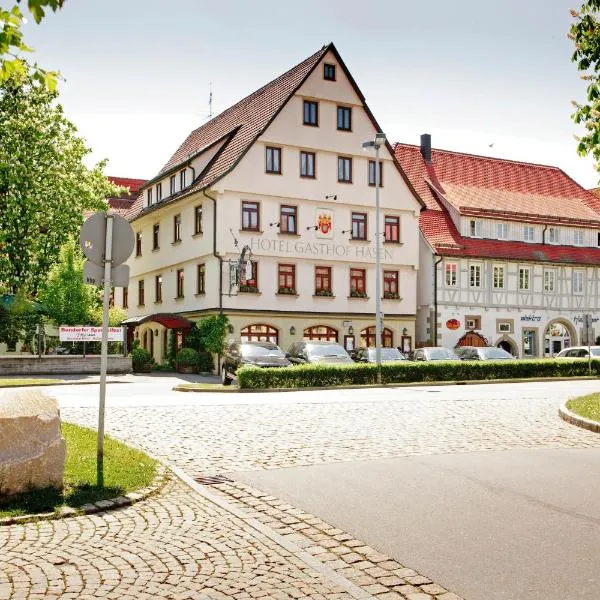 Ringhotel Gasthof Hasen, hotel Herrenbergben