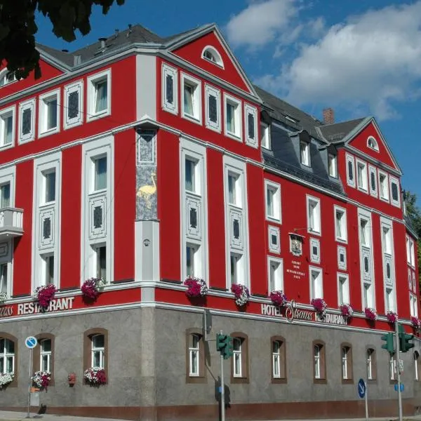 Hotel Strauss, hotel en Hof