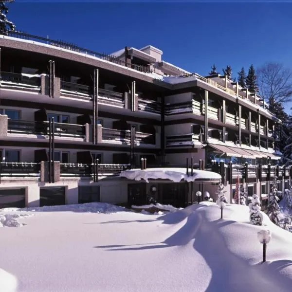 Hôtel de la Forêt, hotel sa Anzère