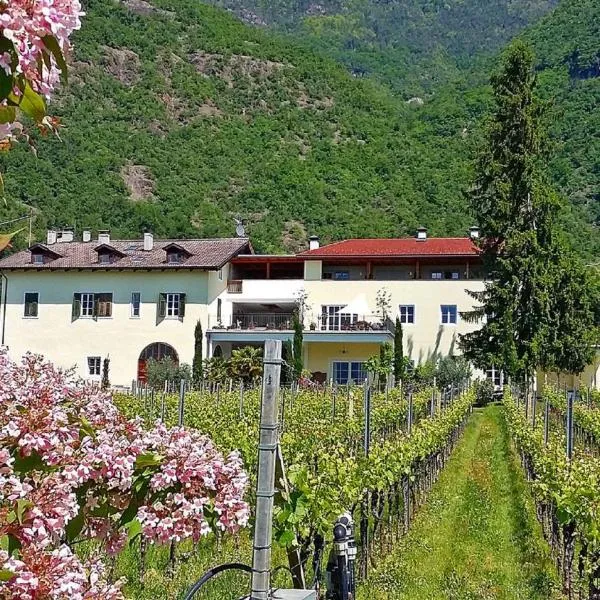 Brandlgut, hotel di Tirolo