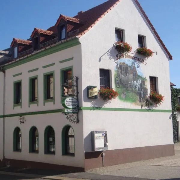 Pension Zum Bauernstübl, hotel di Zwickau