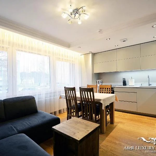 Luxury apartment Vytauto 16, מלון בŽiogeliai