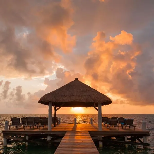 Weezie's Ocean Front Hotel and Garden Cottages, hotel in Caye Caulker