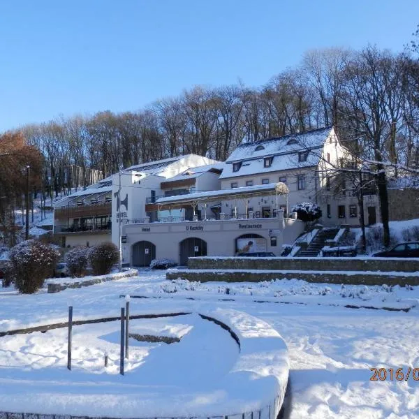 Hotel U Kozicky, hotel em Teplice