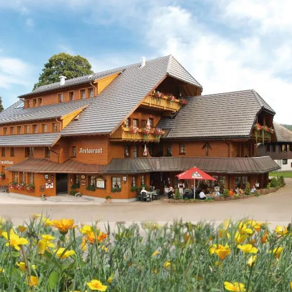 Naturparkhotel Schwarzwaldhaus, хотел в Титизее-Нойщат