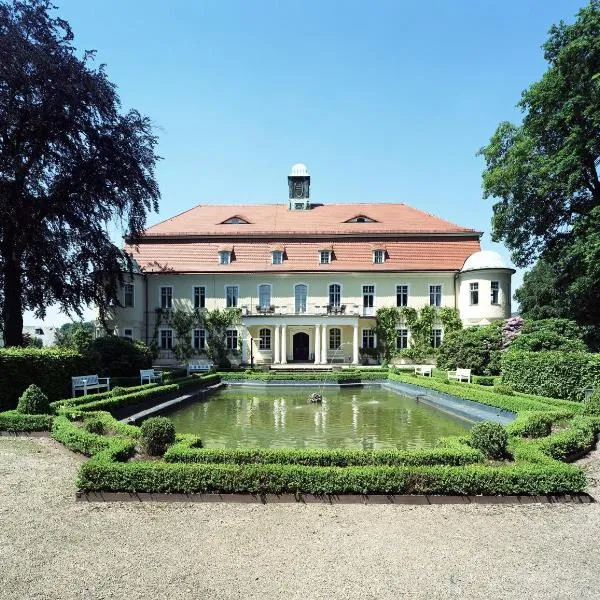 Hotel Schloss Schweinsburg, khách sạn ở Meerane