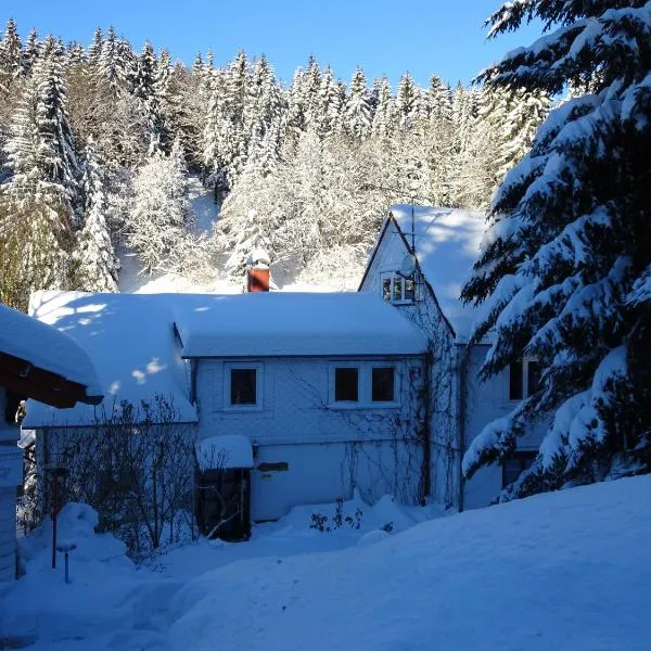 Ferienwohnung Bauer Alter Hammer, hotel u gradu 'Hirschbach'