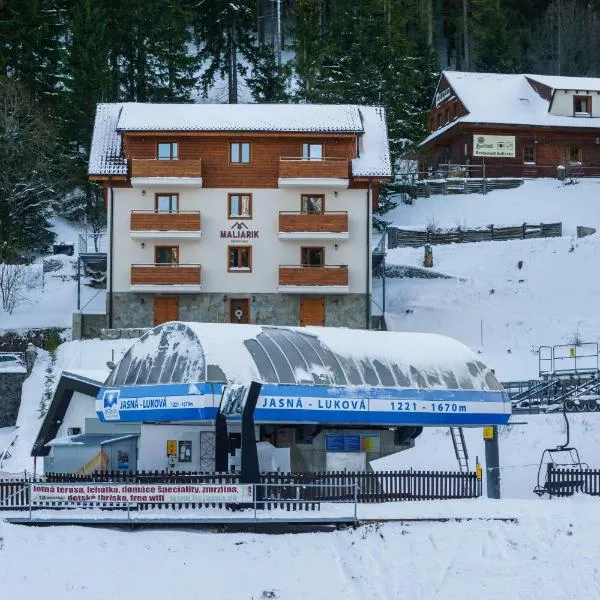 Apartmany Maliarik, hotel a Demänovská Dolina