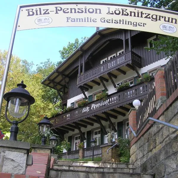 Bilz-Pension, hôtel à Radebeul