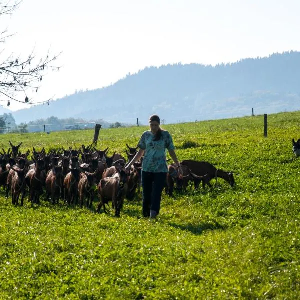 Agroturistika kozí farma Rožnov pod Radhoštěm, hotel en Rožnov pod Radhoštěm