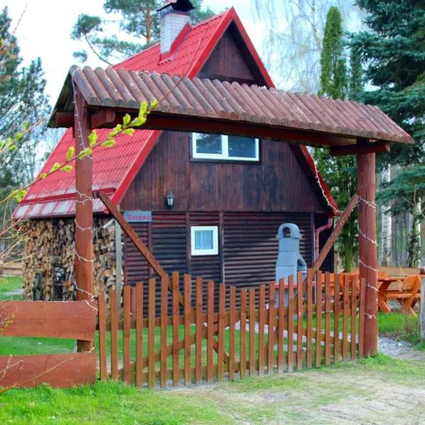 Domek Zalesie, hotel sa Olsztyn