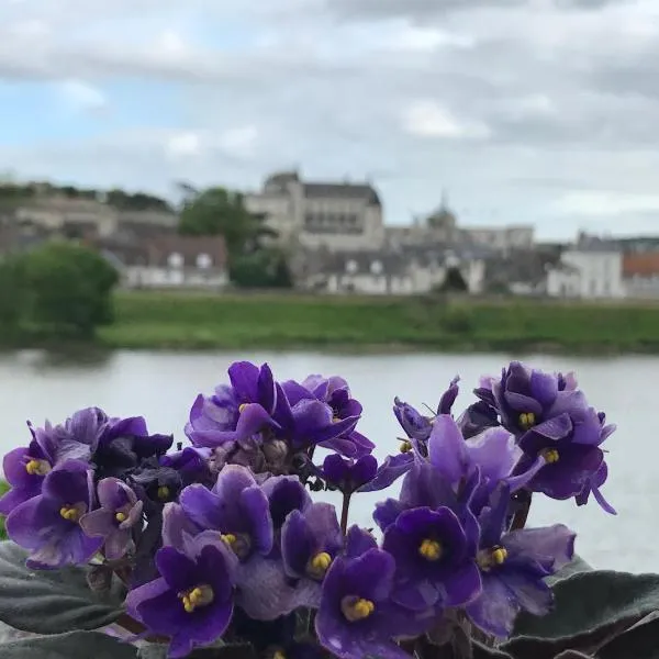 Les Studios de Soizick, hotel Amboise-ban