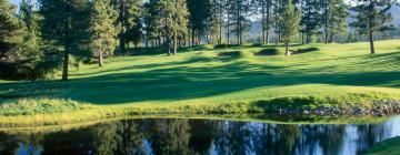 Hotels in de buurt van Edgewood Tahoe Golf Course