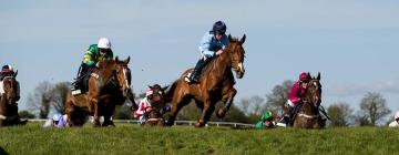 Punchestown Racecourse – hotely v okolí