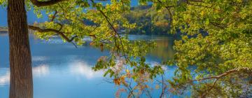 Hoteles cerca de Lago Monticolo