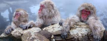 Hoteli v bližini znamenitosti naravni rezervat Jigokudani Monkey Park