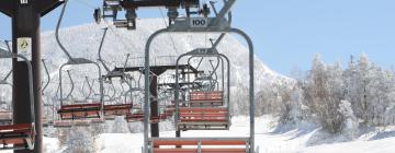 فنادق بالقرب من La Petite Mauselaine Ski Lift