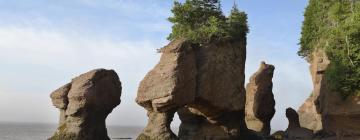 Hoteluri aproape de Parcul Hopewell Rocks