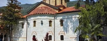 Monastero di Bachkovo: hotel