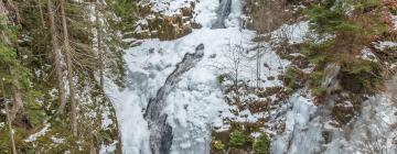 Hoteluri aproape de Kamienczyka Waterfall