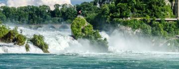 Hoteles cerca de Cataratas del Rin