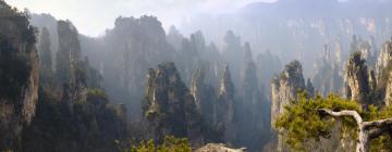 Hotel berdekatan dengan Zhangjiajie National Forest Park