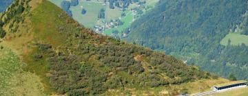 Hotelek a Rochers de Naye közelében