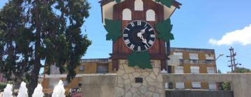 Hotels near Cuckoo Clock