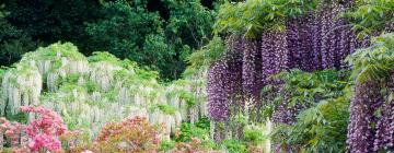 Ashikaga Flower Park के पास वाले होटल