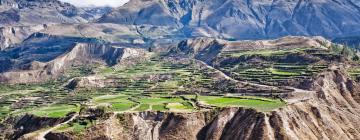 Hoteles cerca de Cañon del Colca