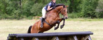 Hoteli u blizini znamenitosti 'Trodnevni konjički događaj Badminton Horse Trials'