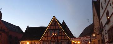 מלונות ליד Eguisheim Christmas Market