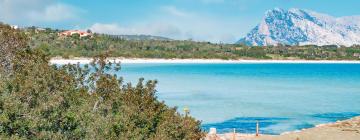 Hôtels près de : Plage de Cala Brandinchi