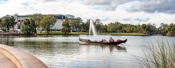 City Park -puisto – hotellit lähistöllä