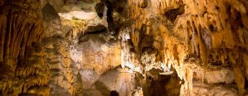 Hotellid huviväärsuse Luray Caverns lähedal